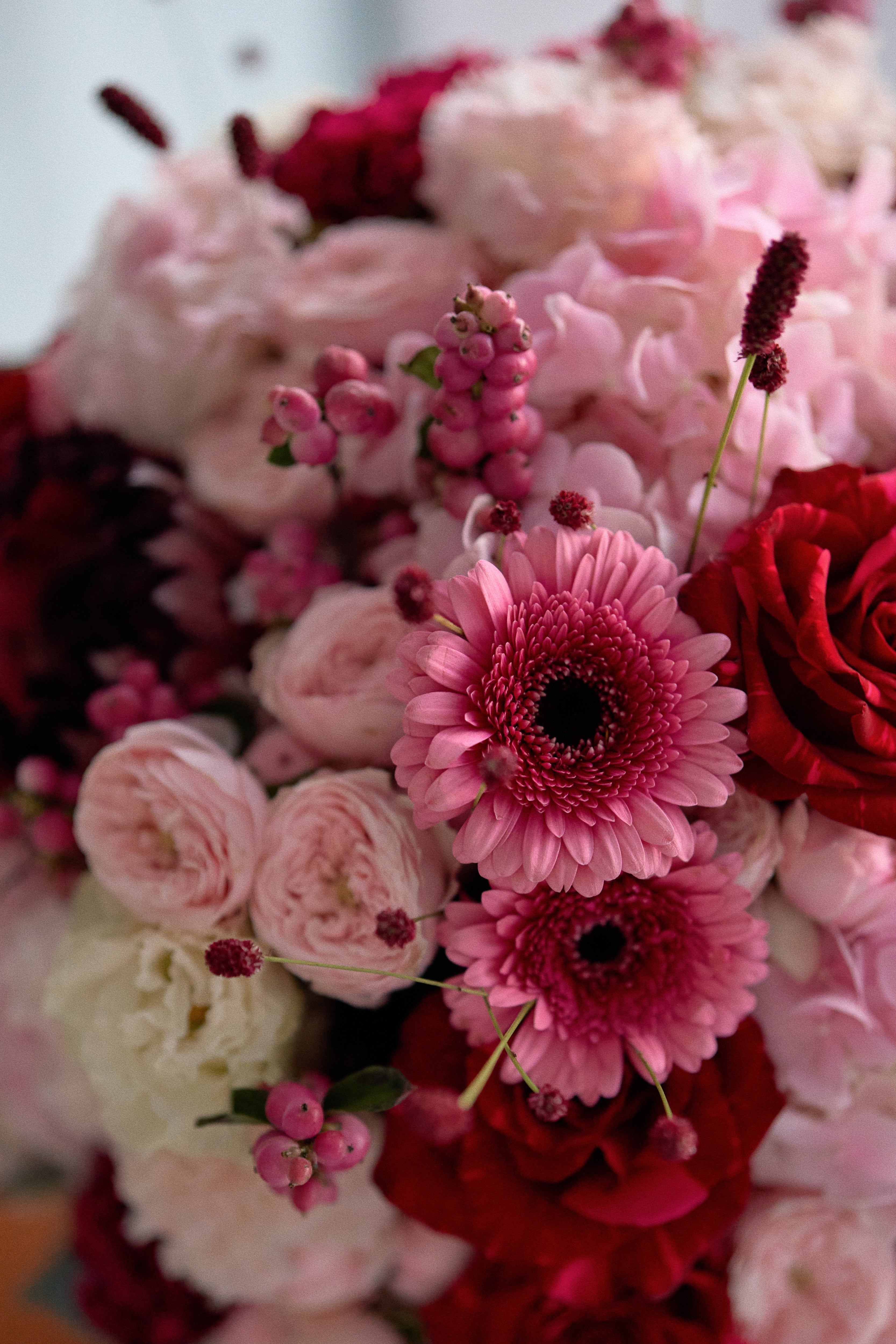 Рубиновая вуаль