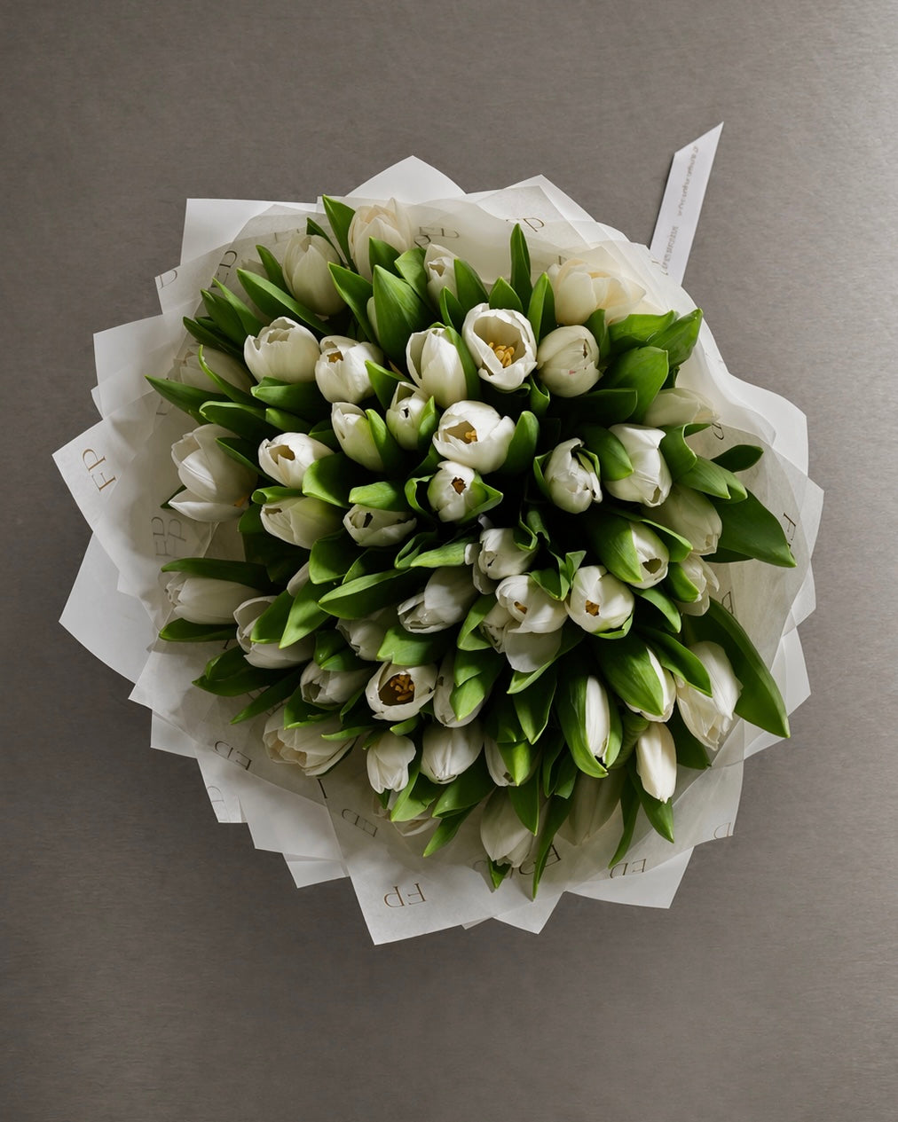 White Tulip