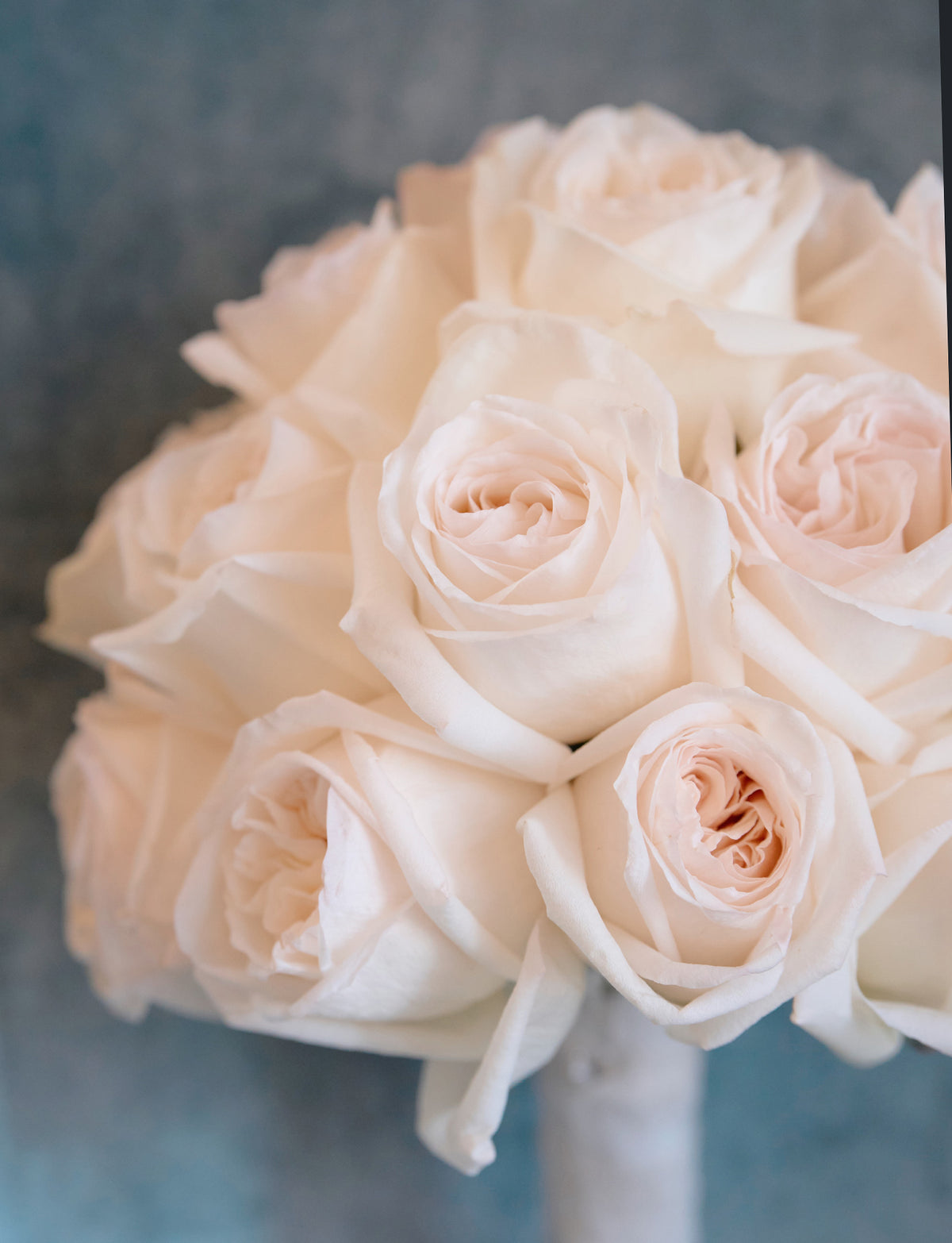 Ivory Garden Elegance