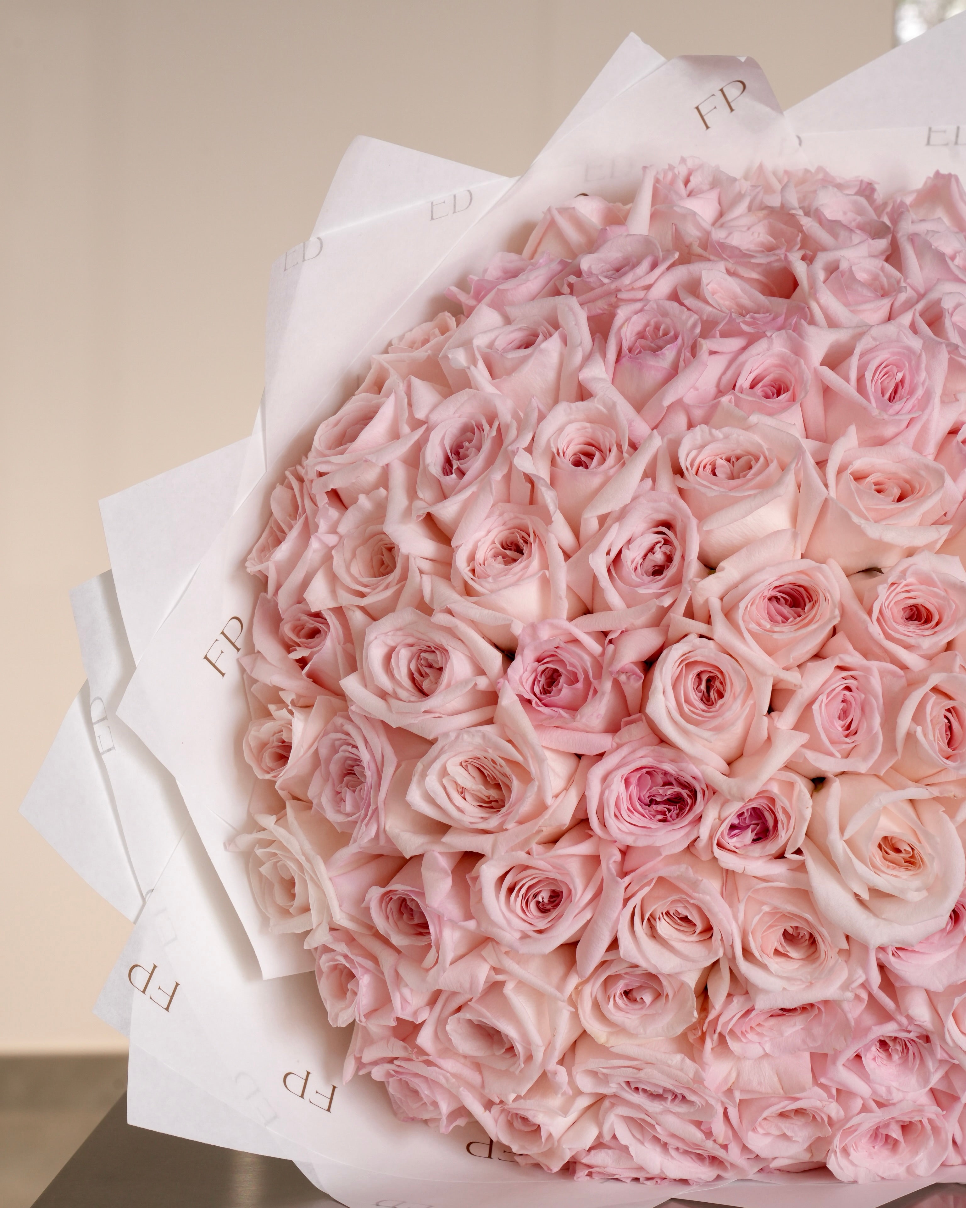 Pink Ohara Rose
