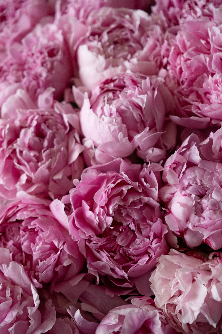 Grand Peony Basket