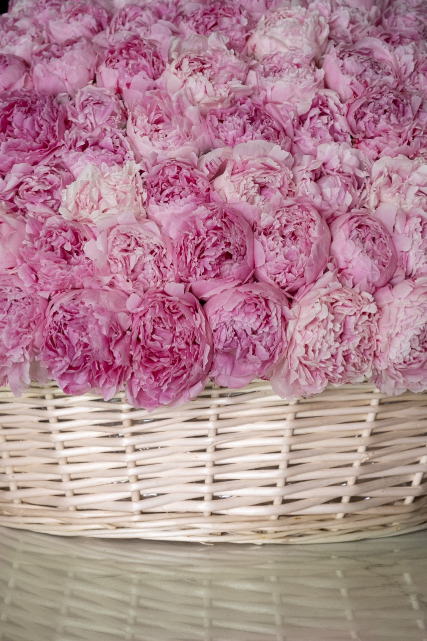 Grand Peony Basket