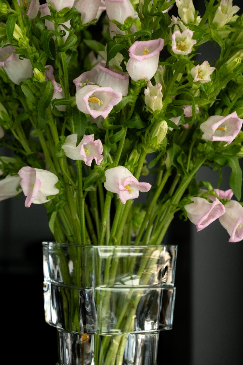 Rosé Campanula Vase