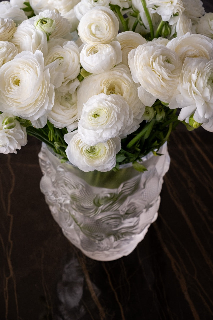 Alba Ranunculus Vase