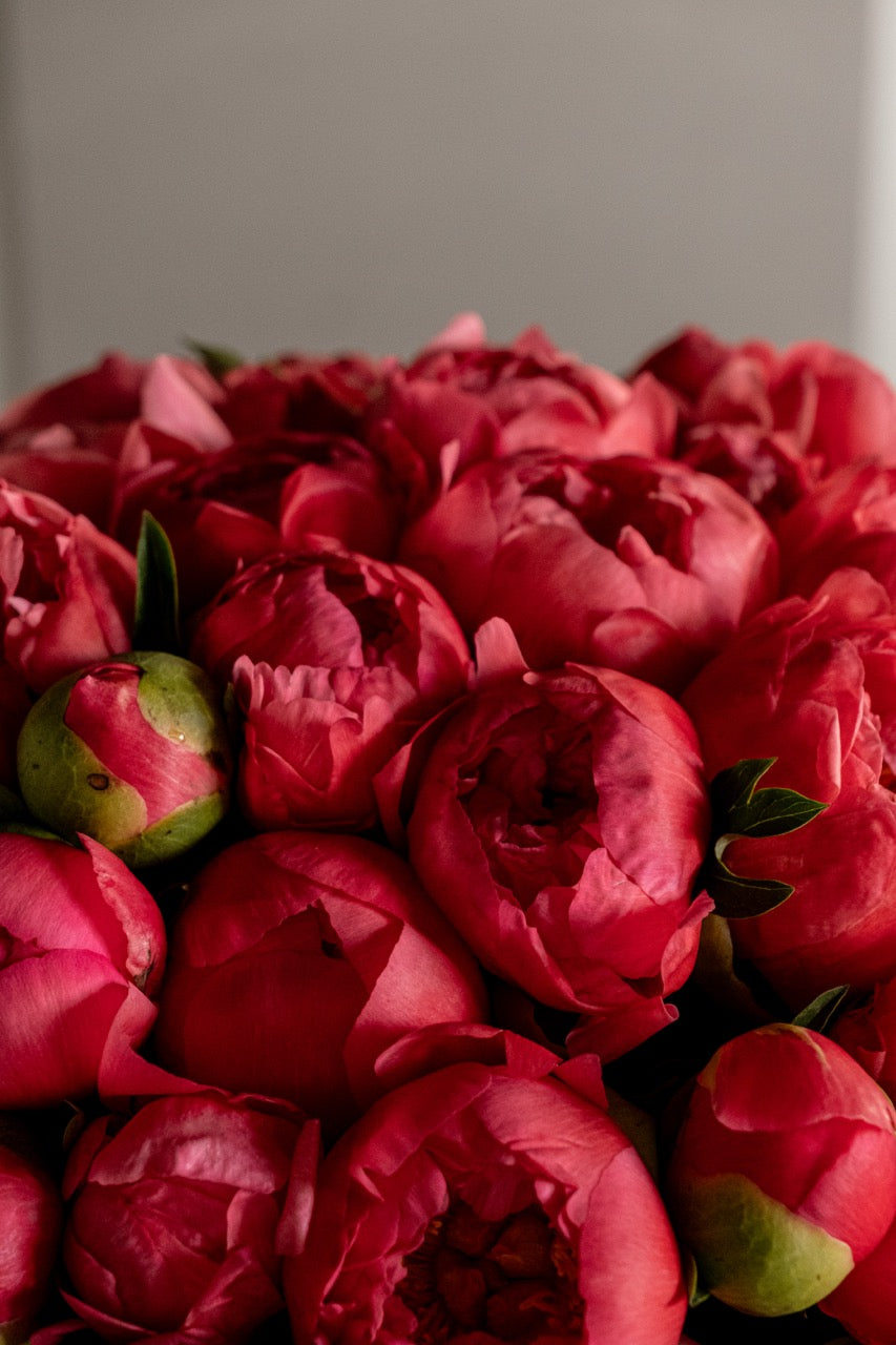 Coral Peony Bouquet