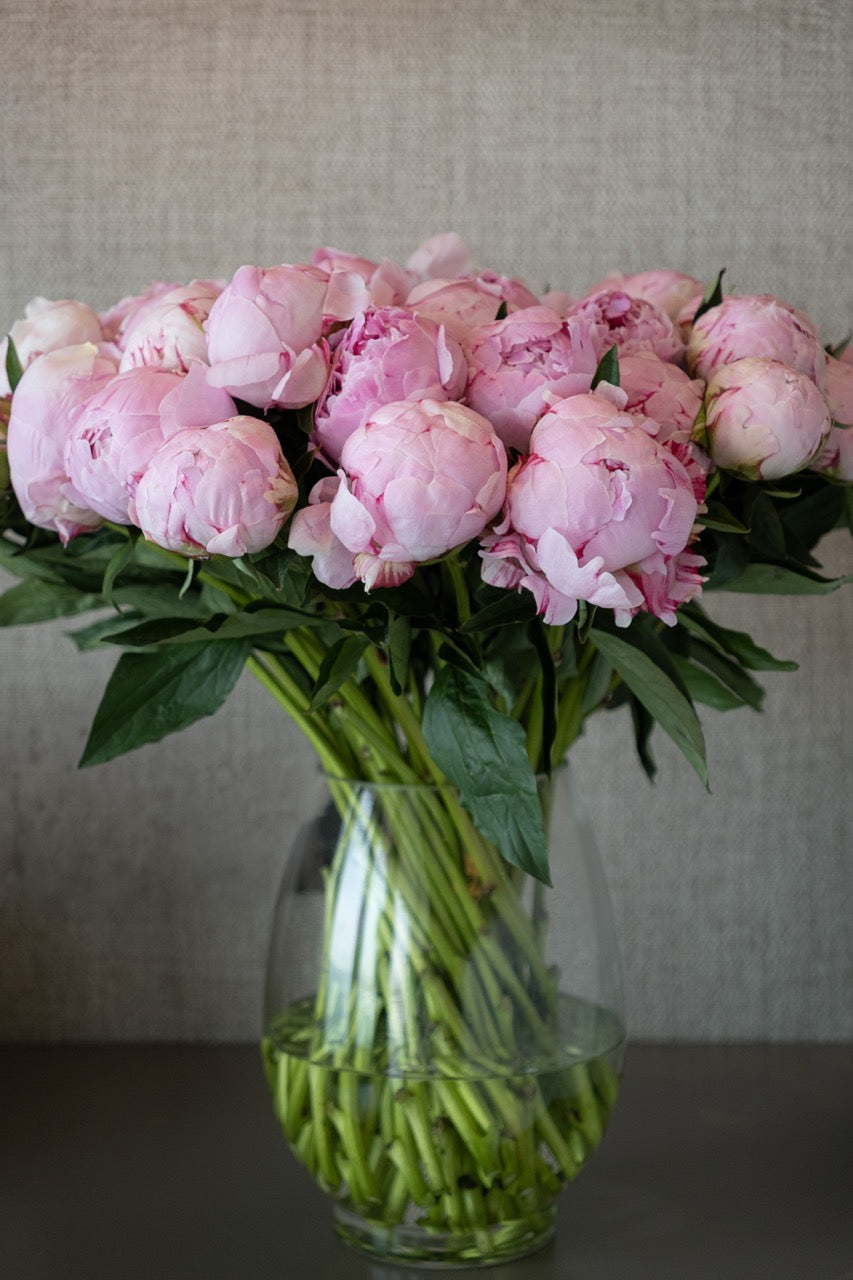 Rosé Peony Vase