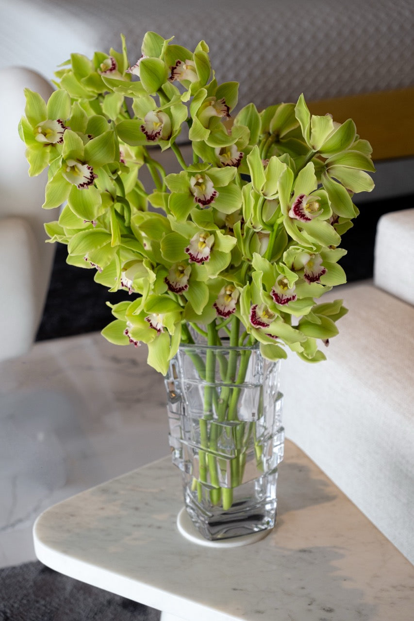 Verdant Cymbidium Vase