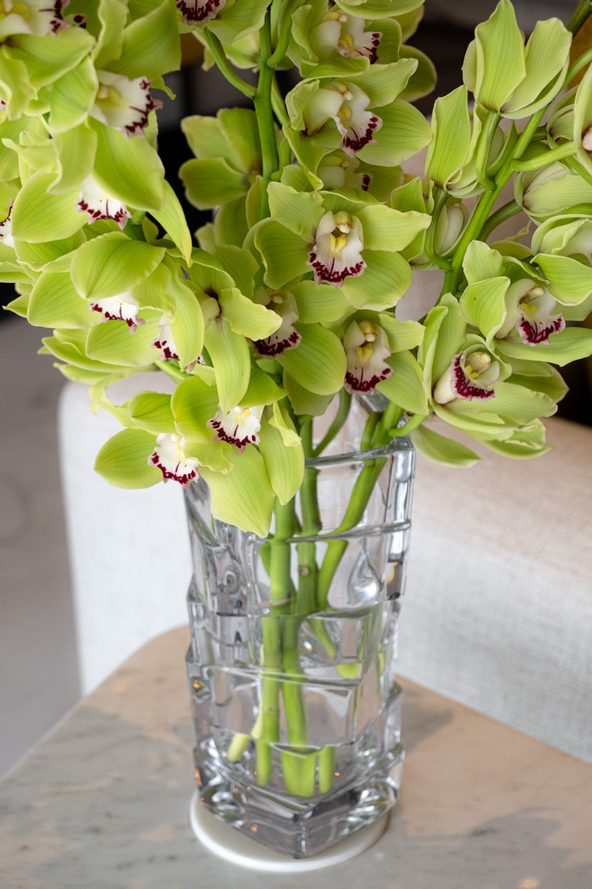 Verdant Cymbidium Vase
