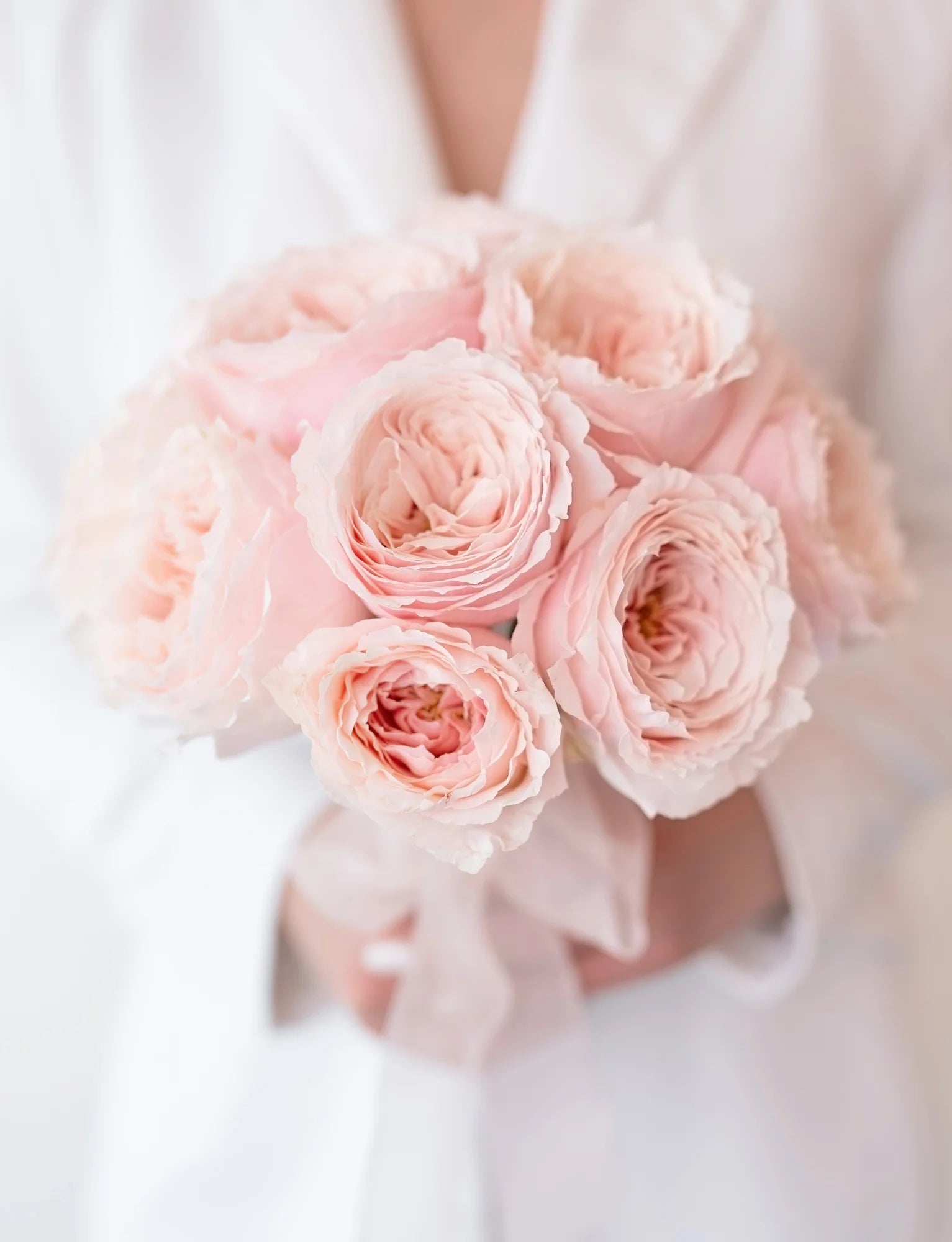 Blush Garden Romance