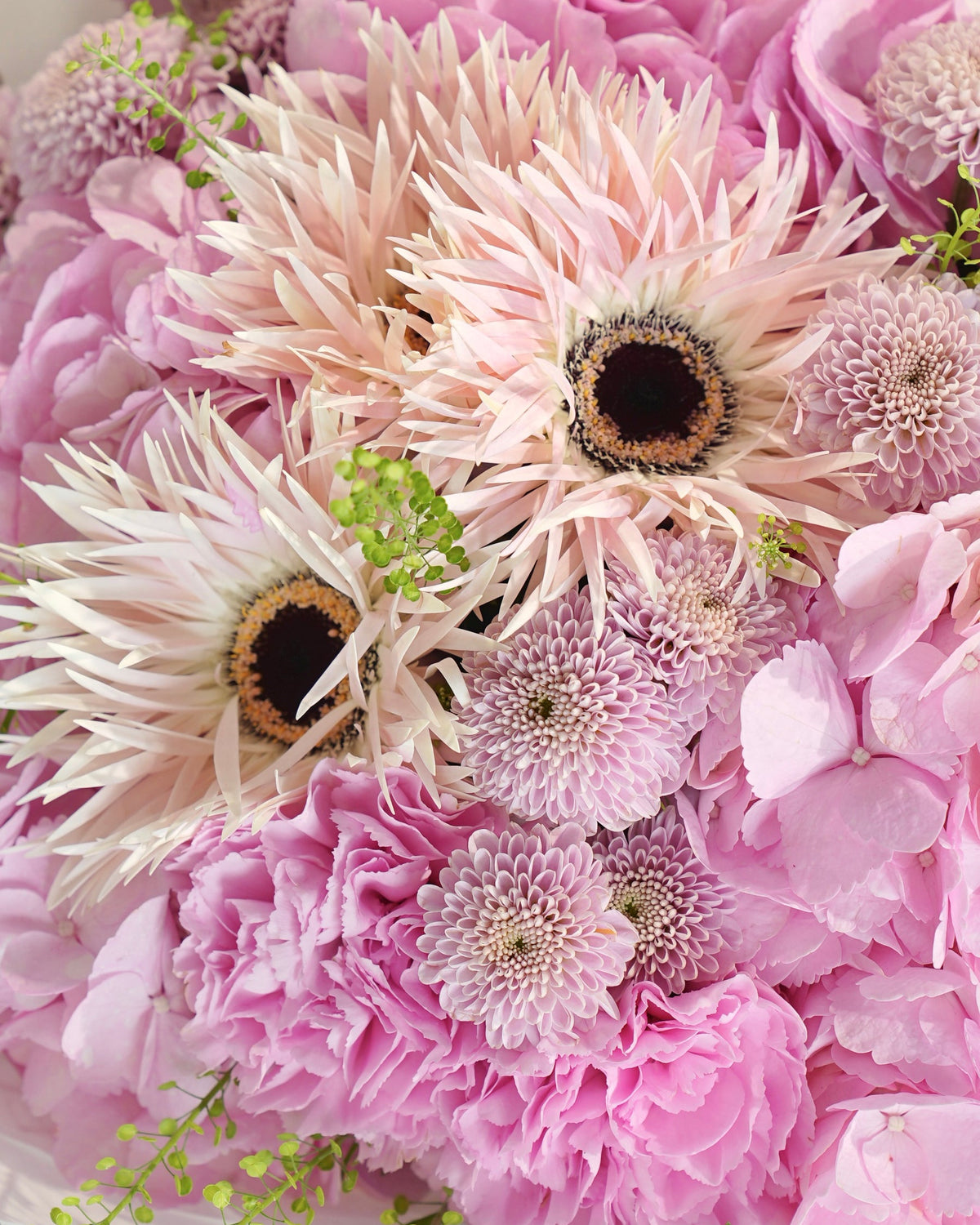 Shop all