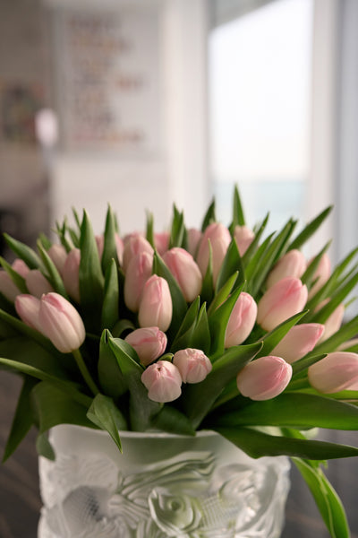 Alba Tulip Vase
