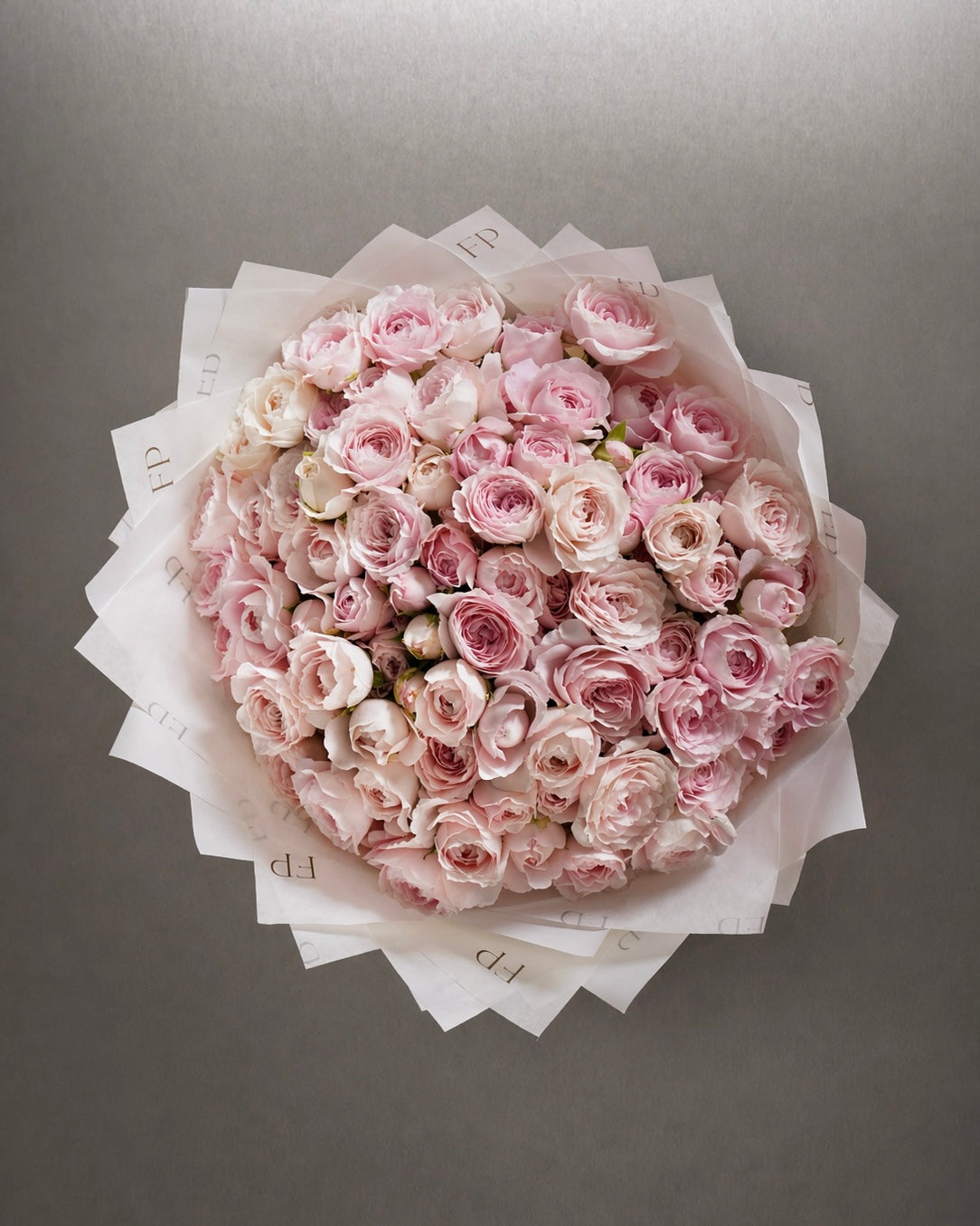 Spray rose