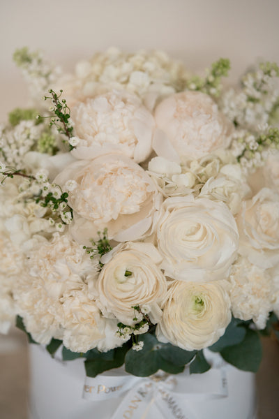 White Bloom Flower Box