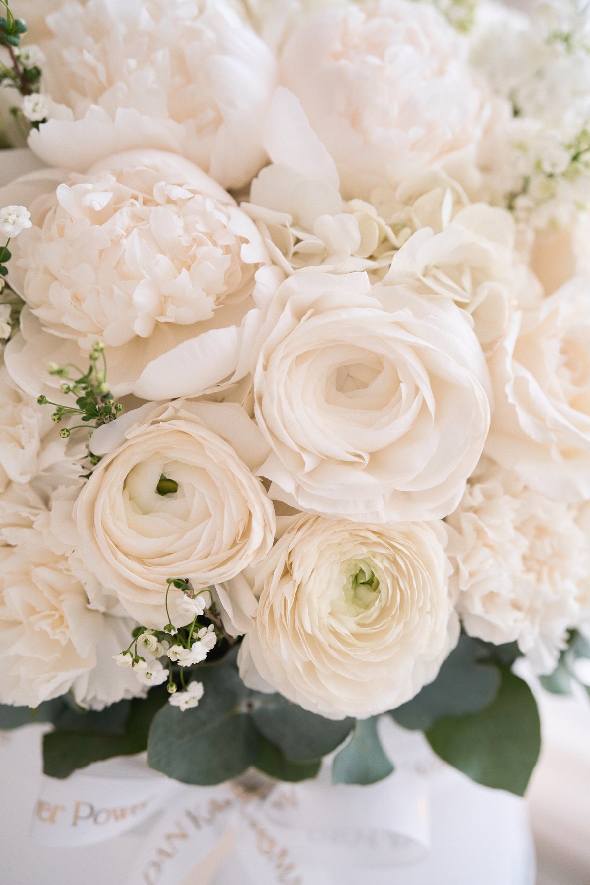 White Bloom Flower Box