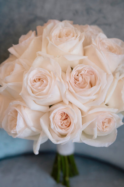 Ivory Garden Elegance