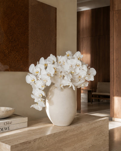 Alba Phalaenopsis Vase