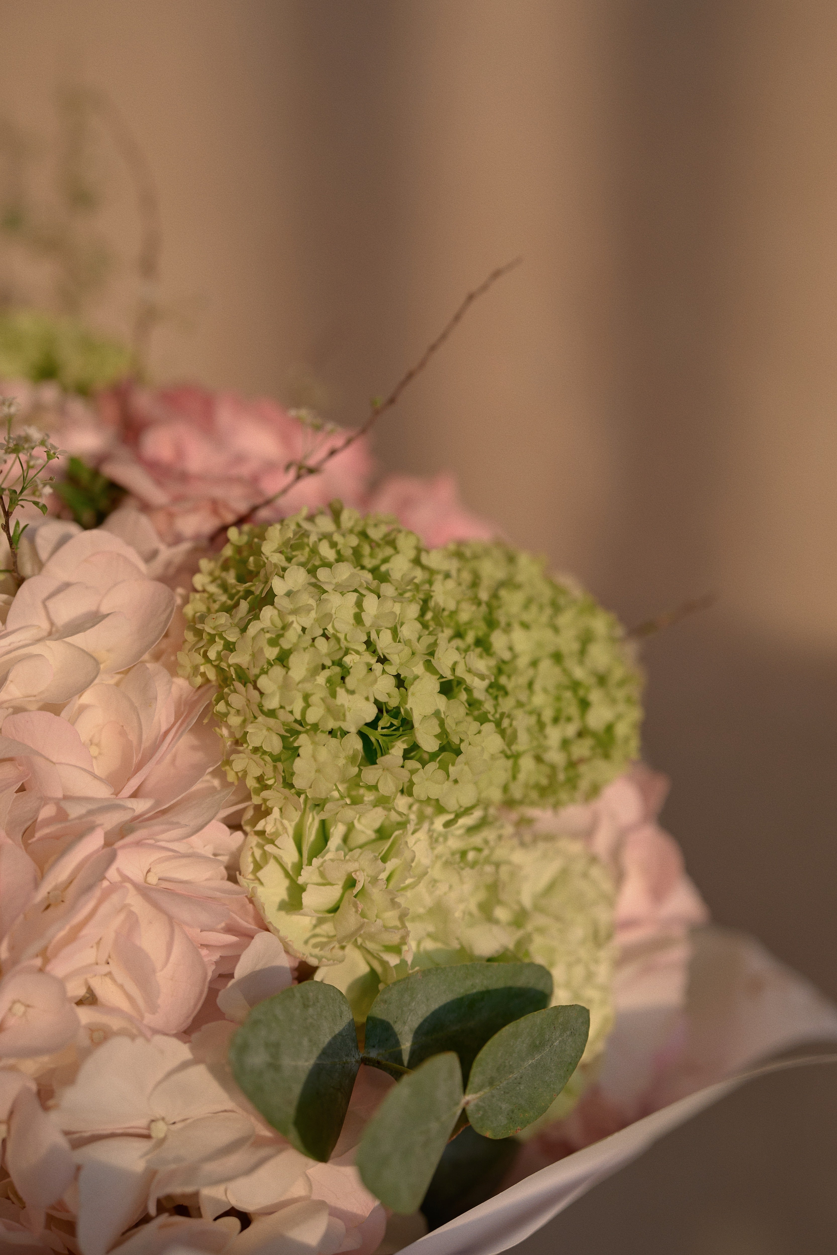 Безмятежная душа