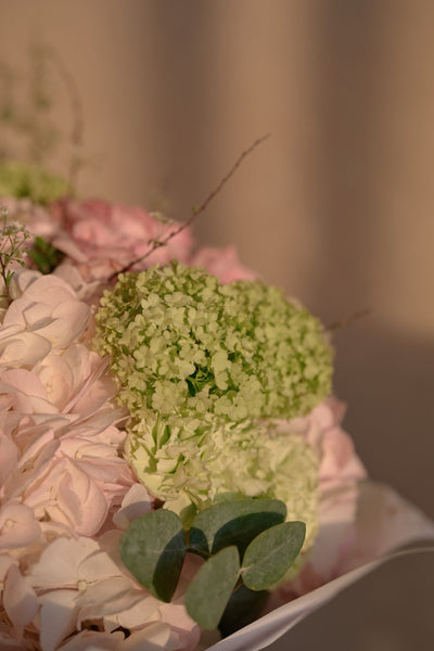 Безмятежная душа