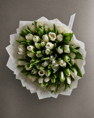 White Tulip