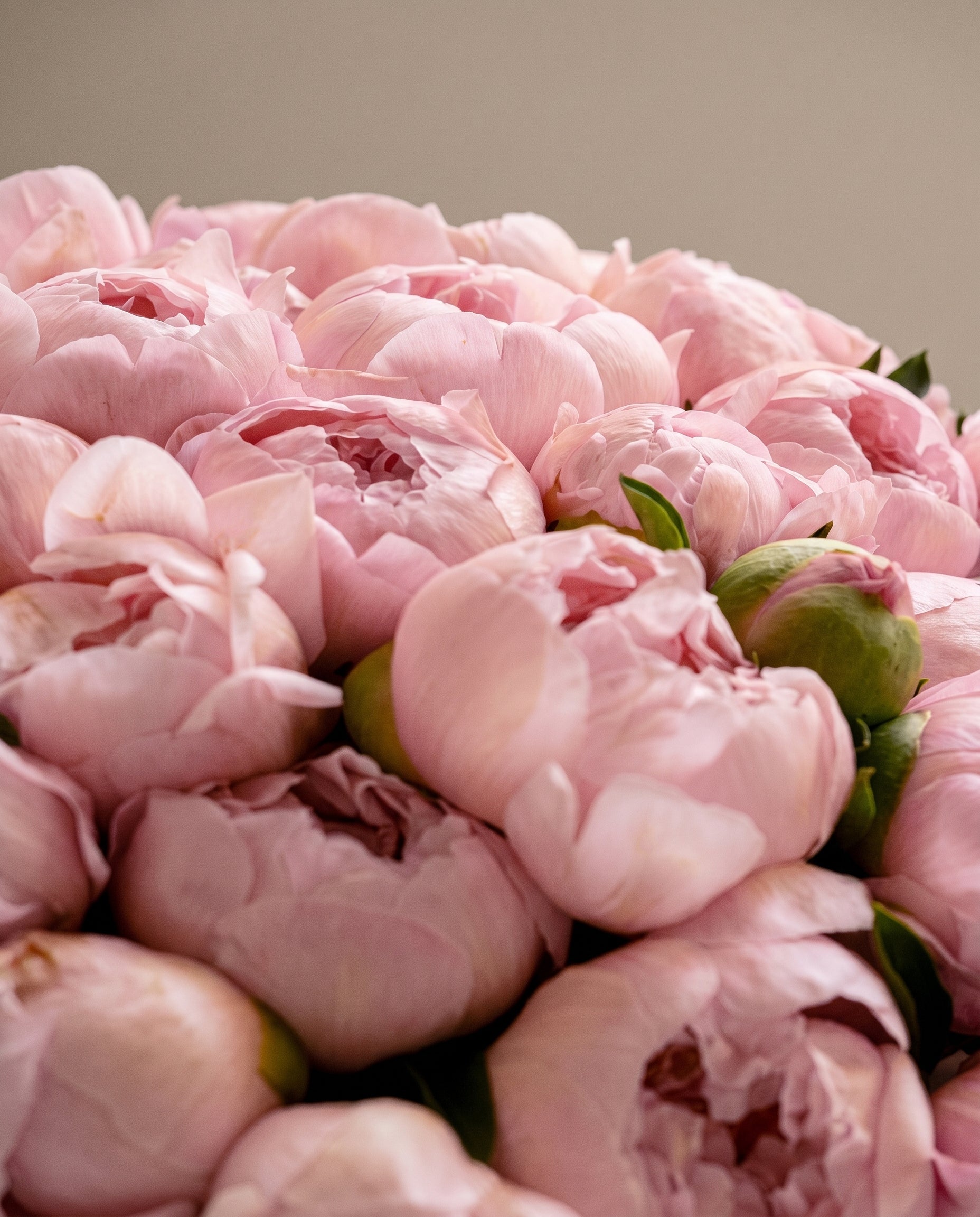 Coral Peony Bouquet
