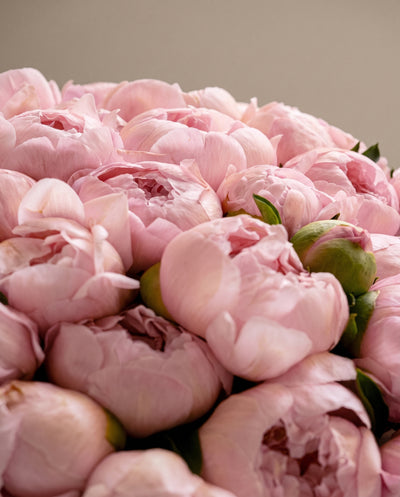 Coral Peony Bouquet
