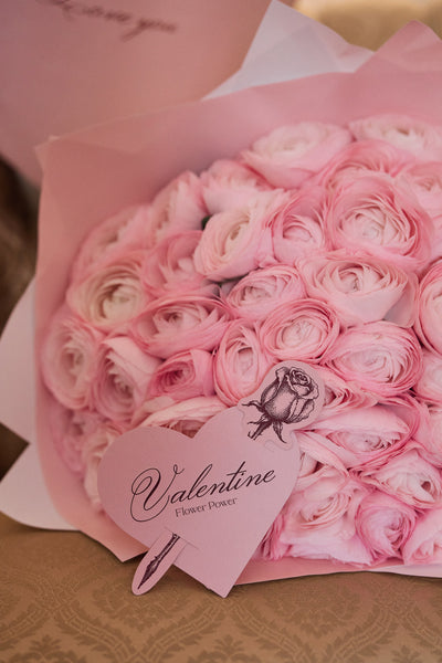 زهرة الرانونكولوس الوردية