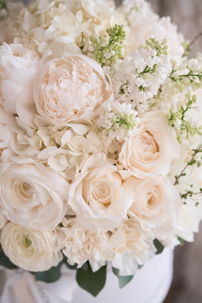 White Bloom Flower Box