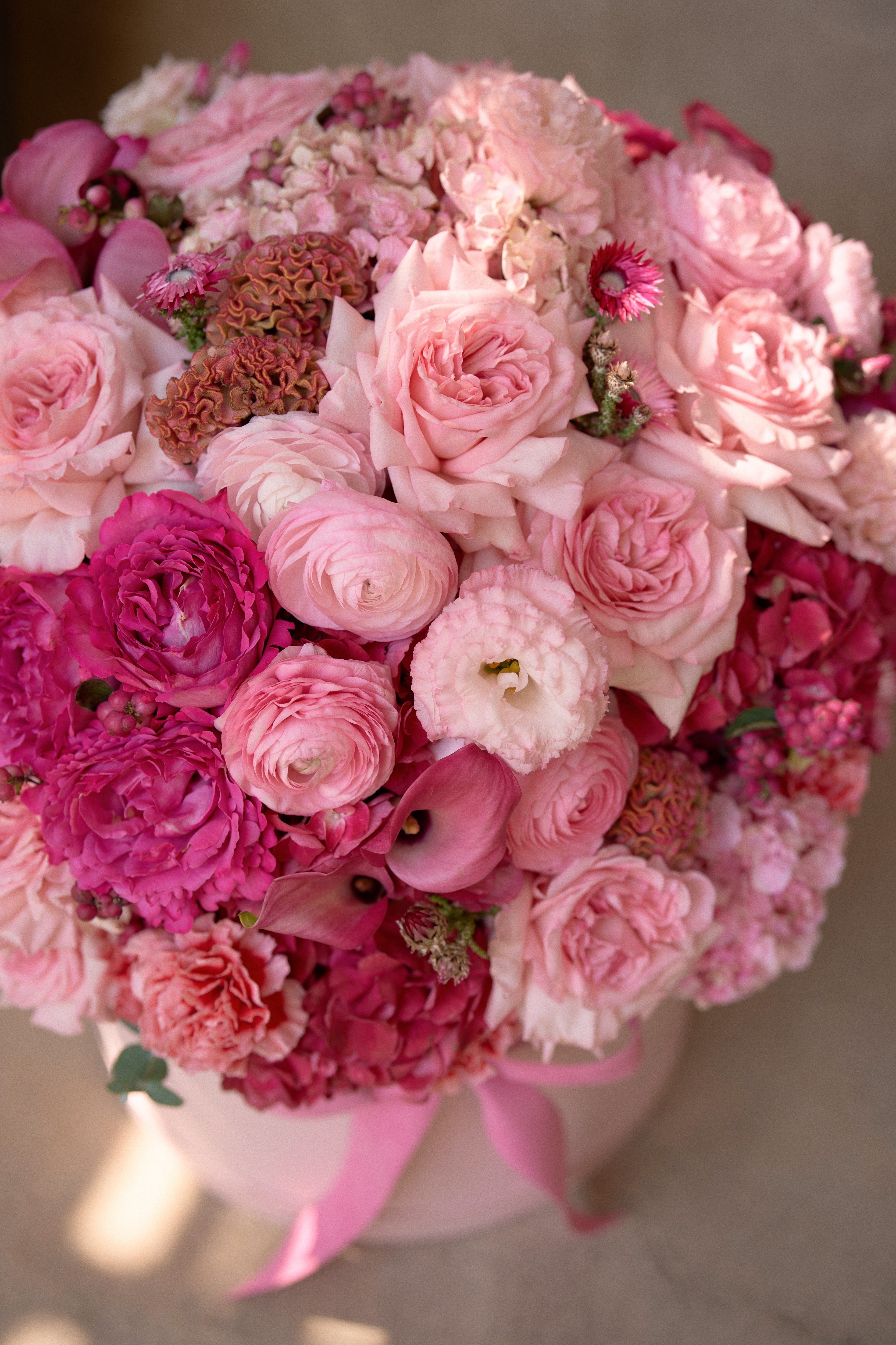 Розовый бархат