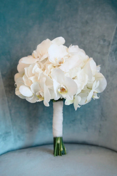 White Orchid Serenity