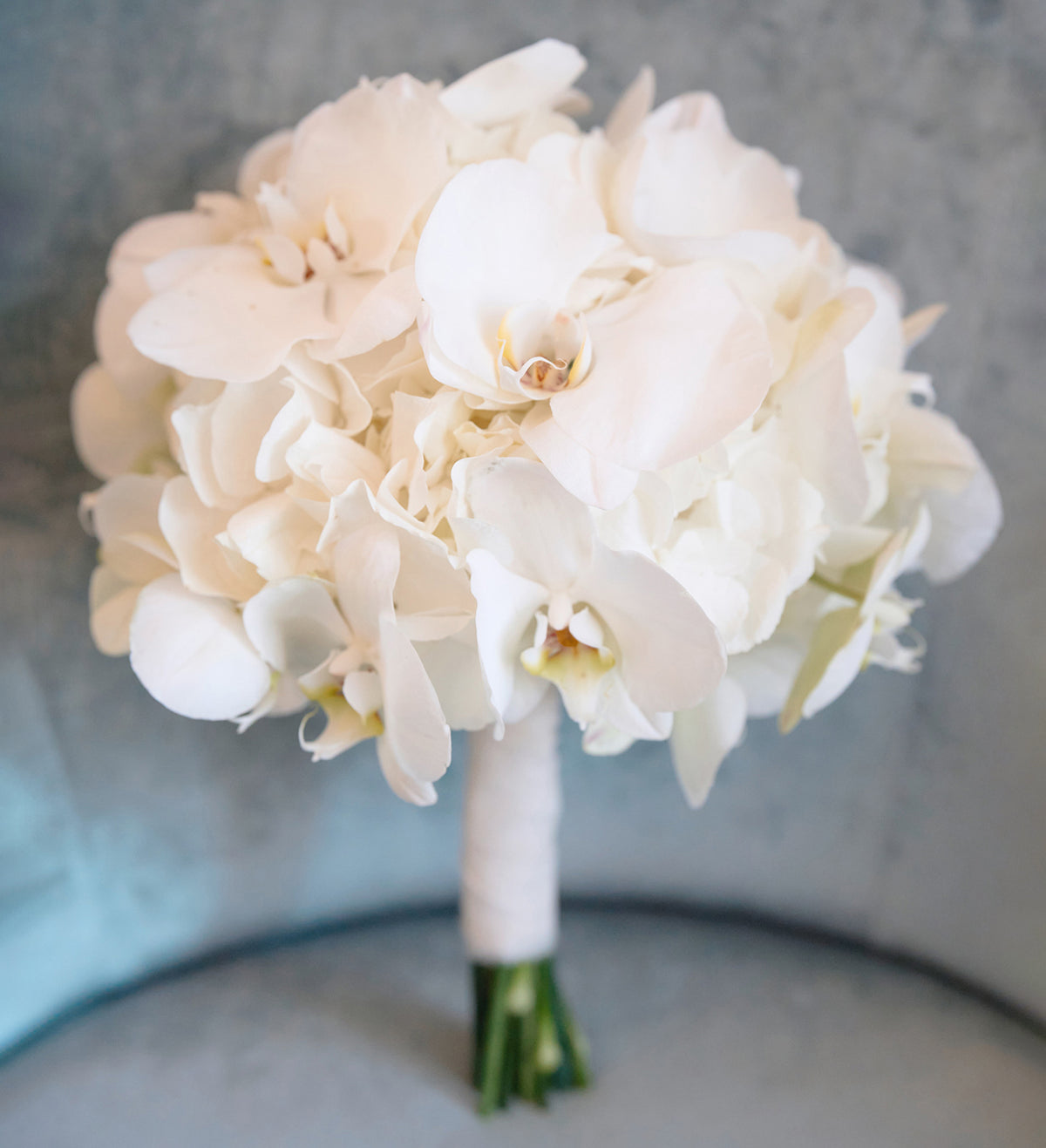 White Orchid Serenity