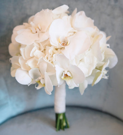 White Orchid Serenity
