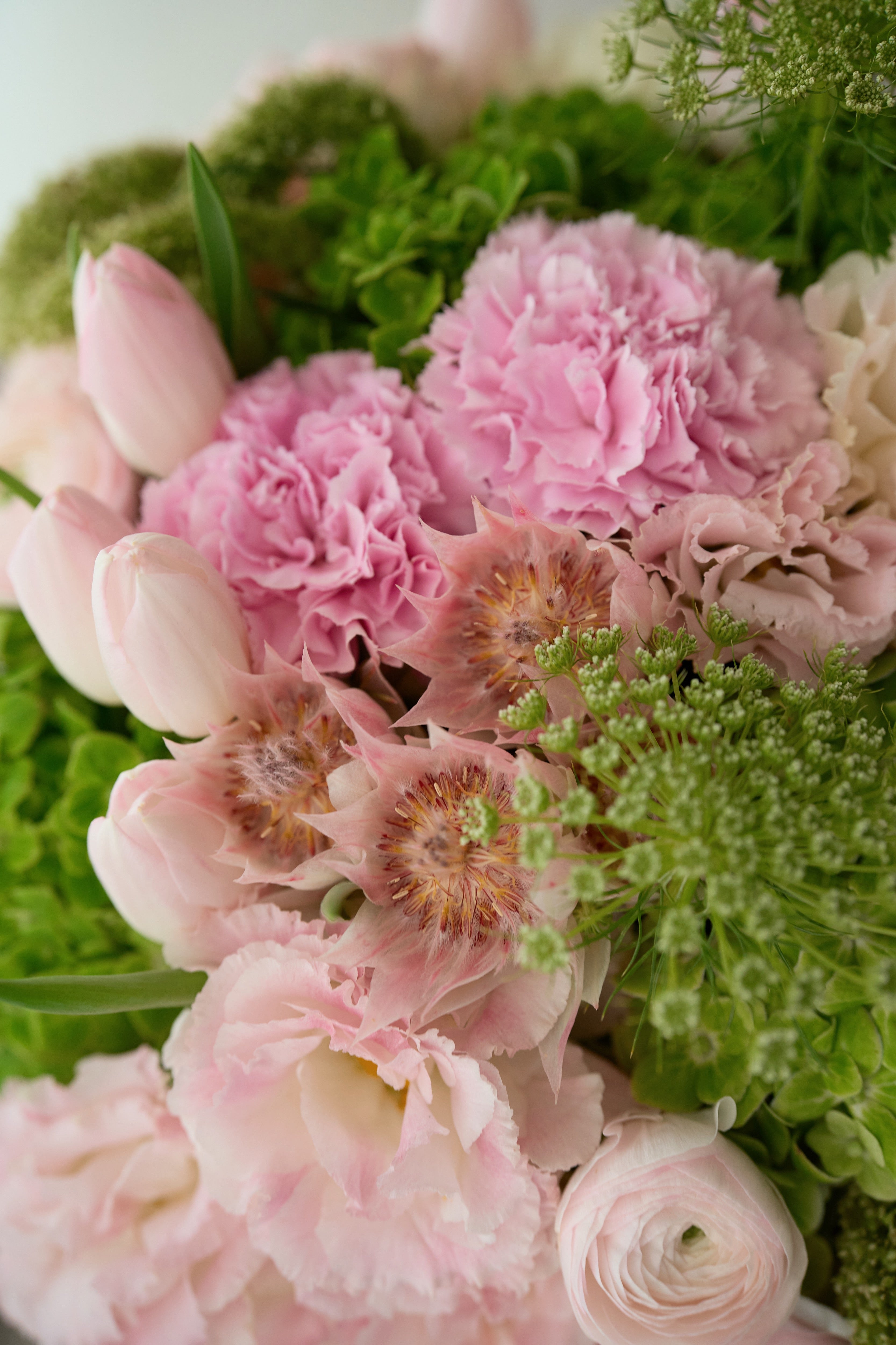 Весеннее сияние