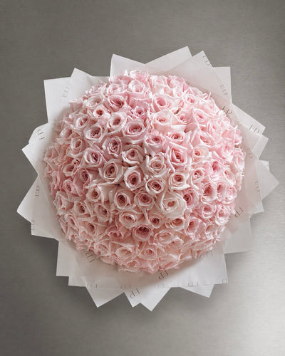 Pink Ohara Rose