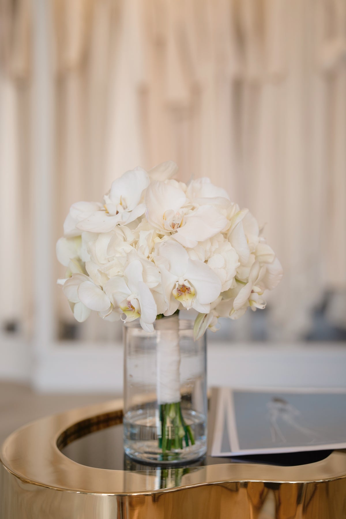 White Orchid Serenity