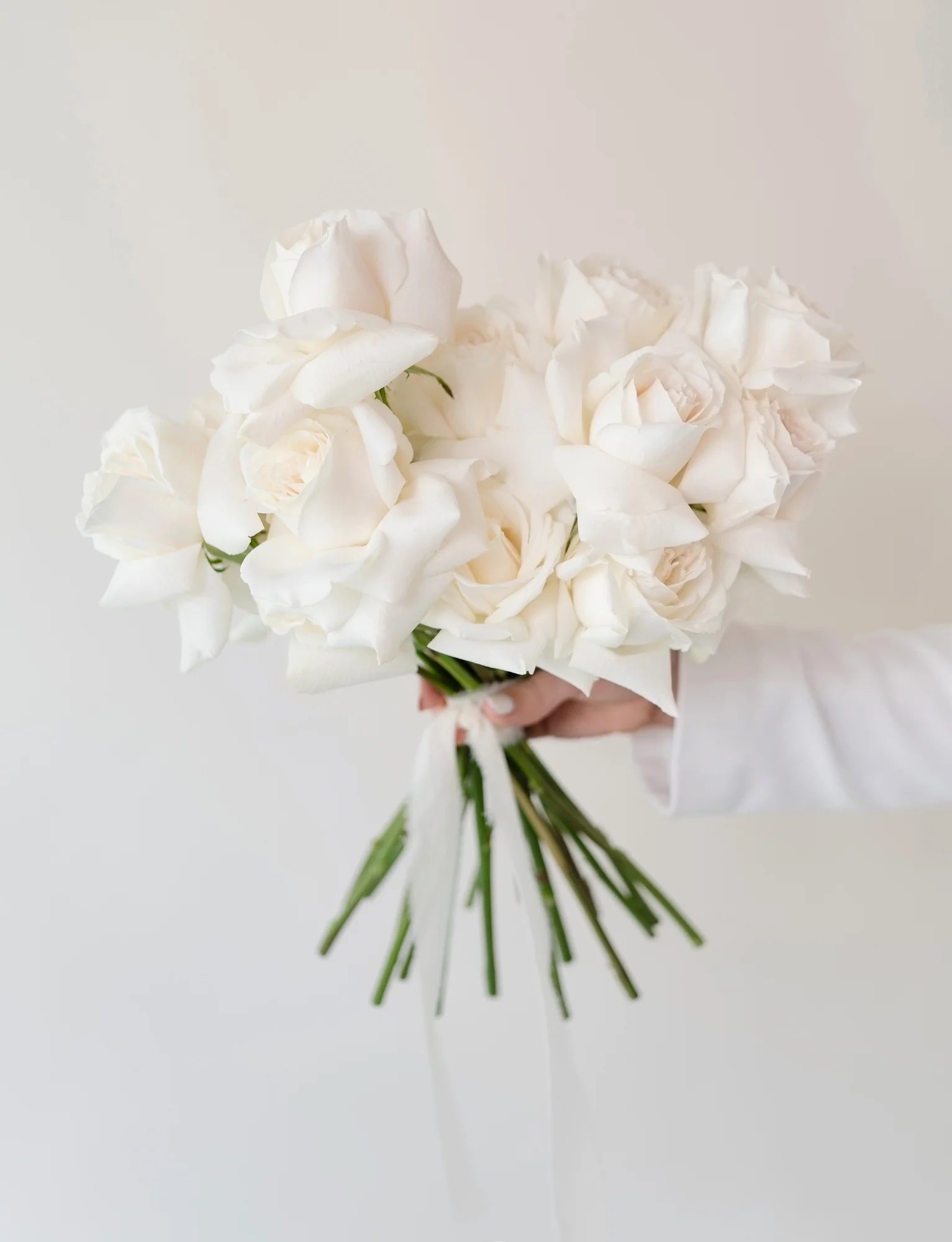 Pure White Elegance