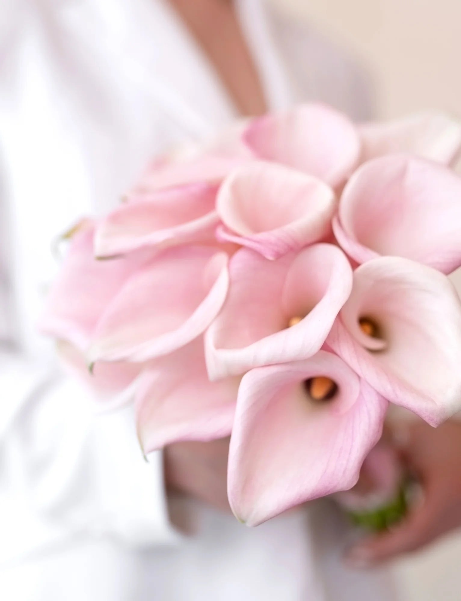 Pink Calla Grace