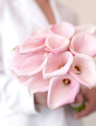Pink Calla Grace