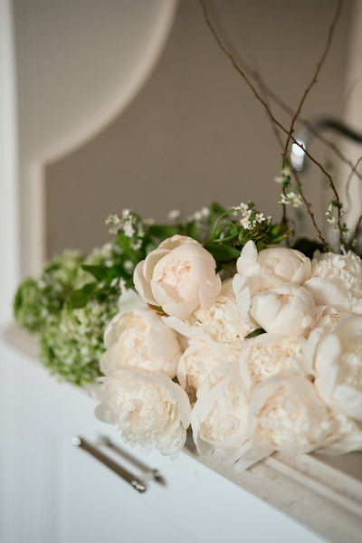 Maison Blanche Arrangement