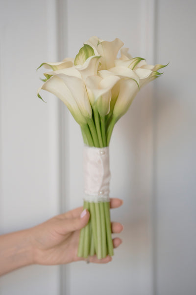 Ivory Calla