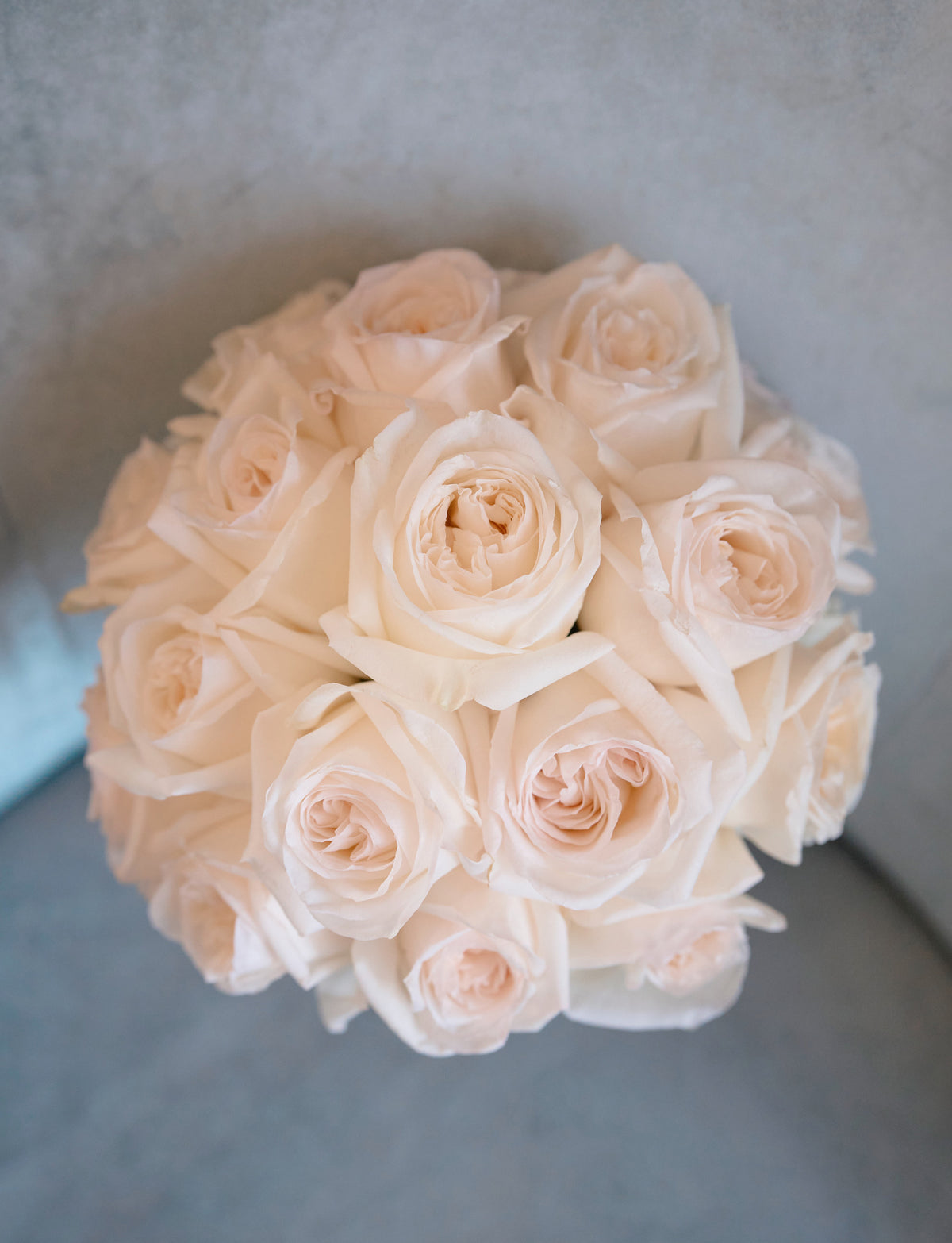 Ivory Garden Elegance