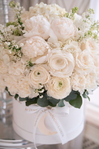 White Bloom Flower Box