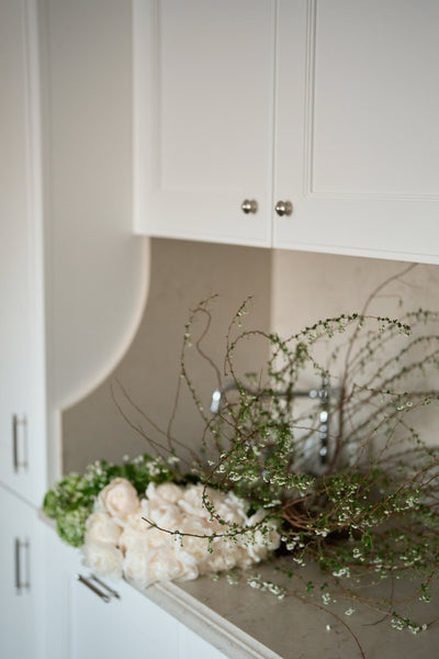 Maison Blanche Arrangement