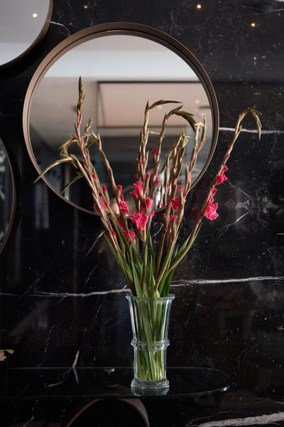 Crimson Gladiolus Vase