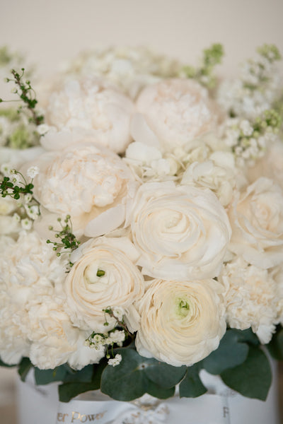 White Bloom Flower Box