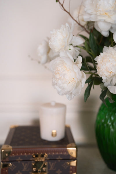 Maison Blanche Arrangement