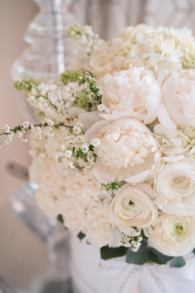 White Bloom Flower Box