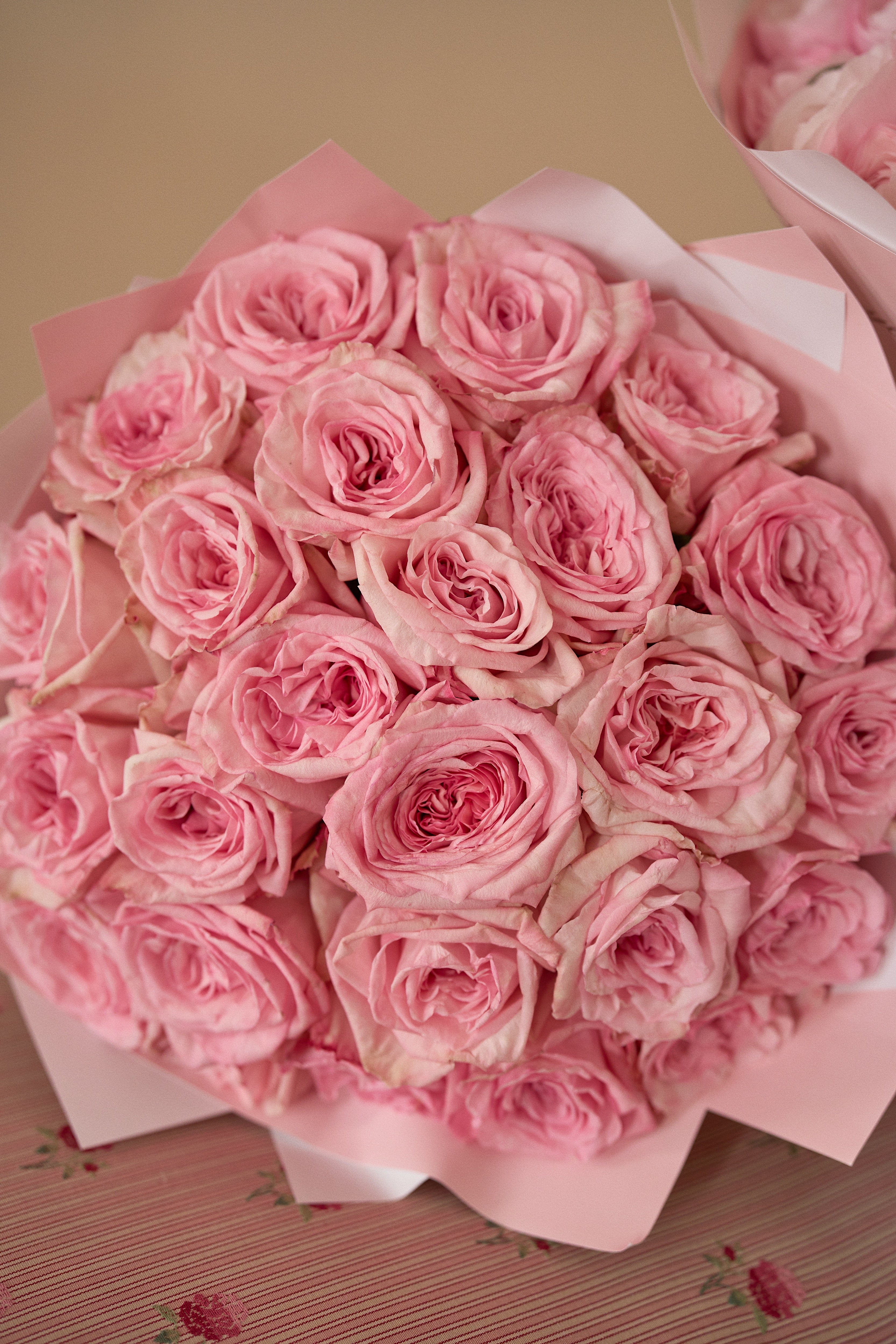 Pink & Roses