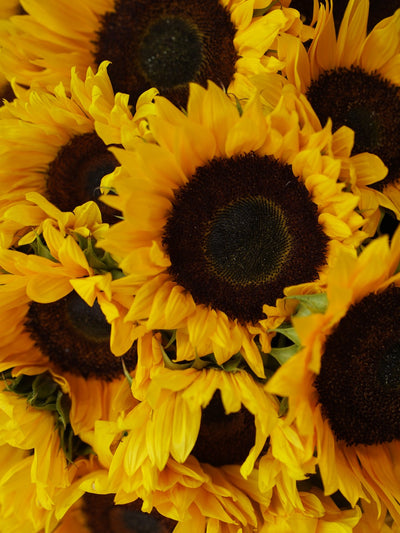Golden Sunflower Basket
