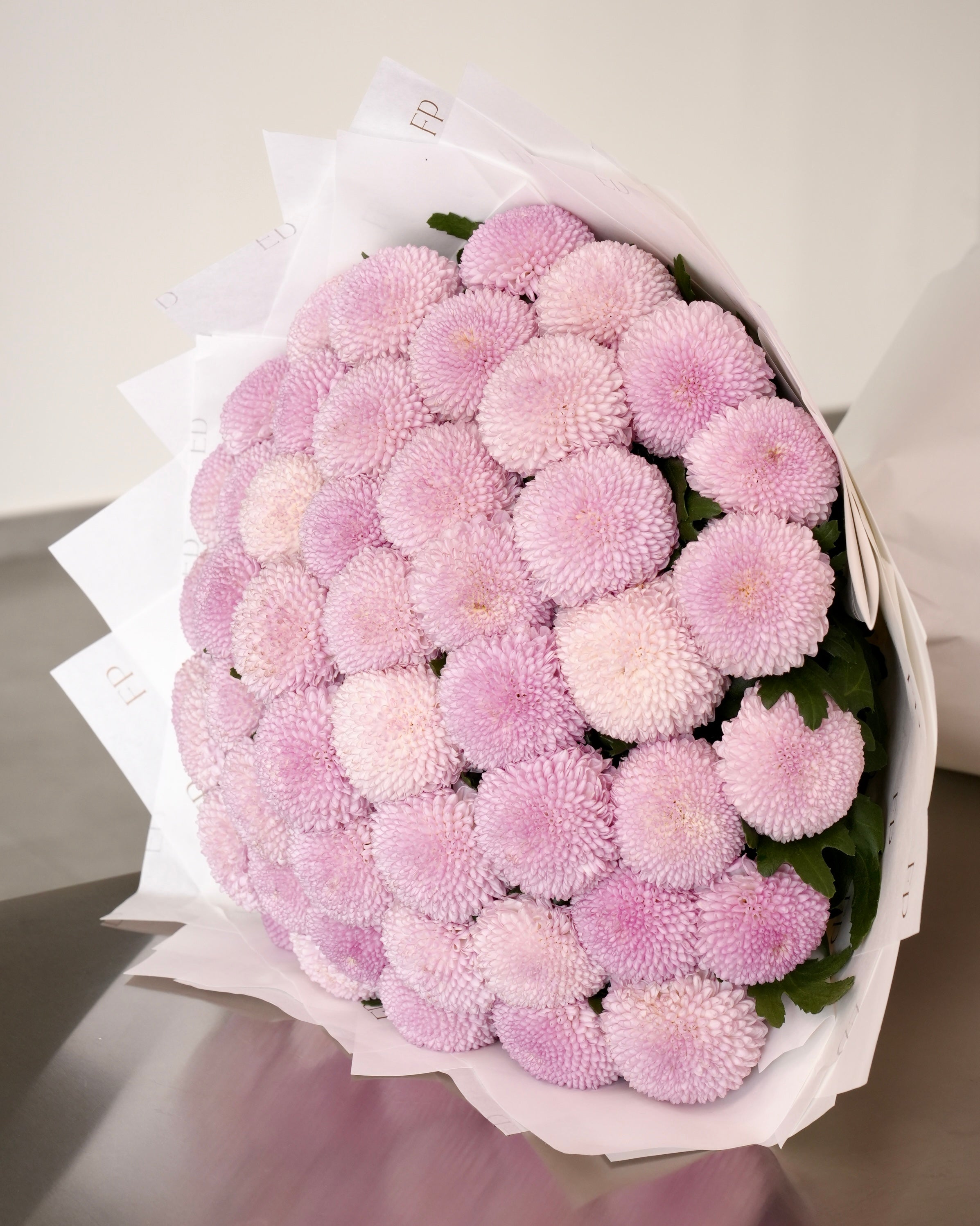 Pink Chrysanthemum