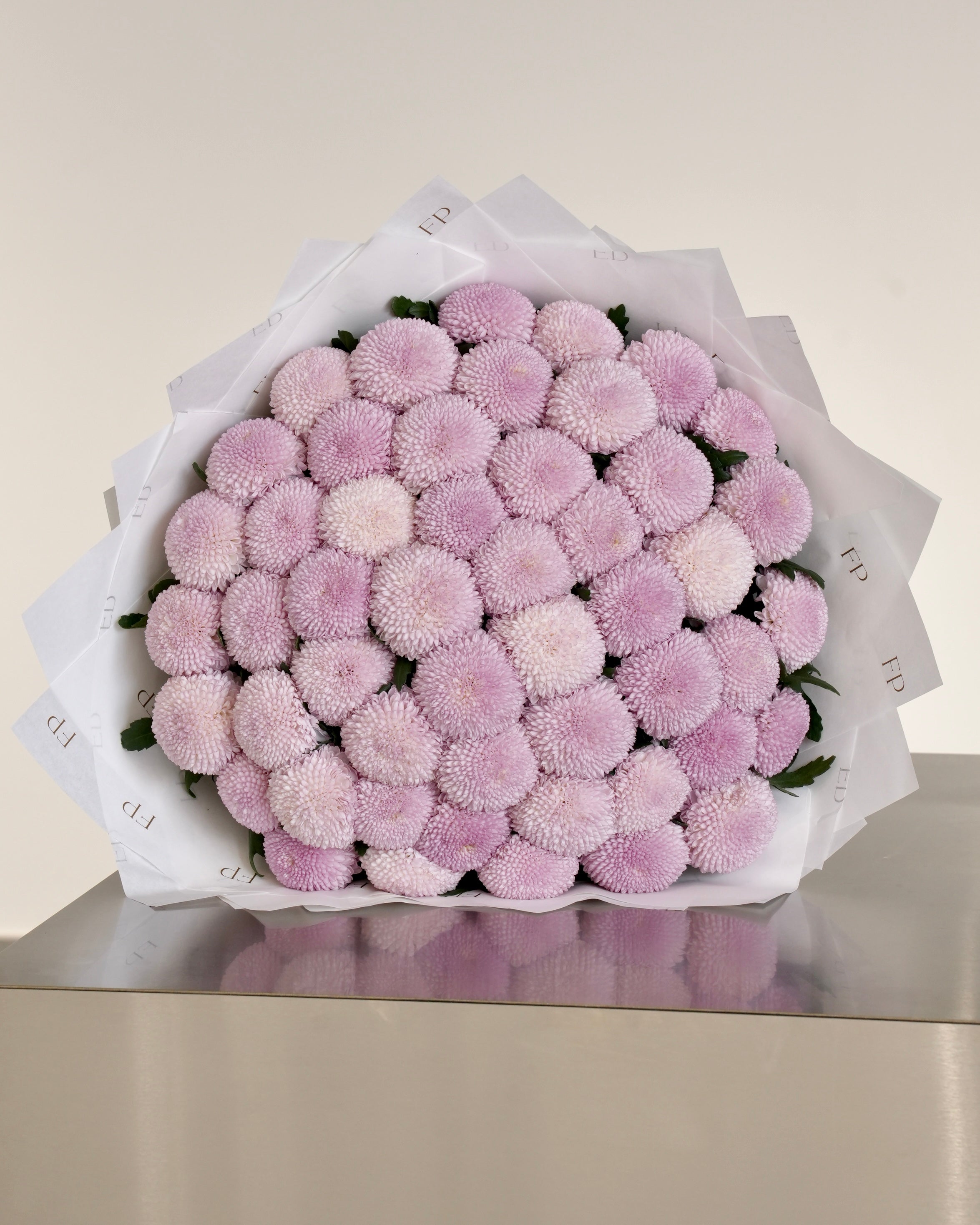 Pink Chrysanthemum